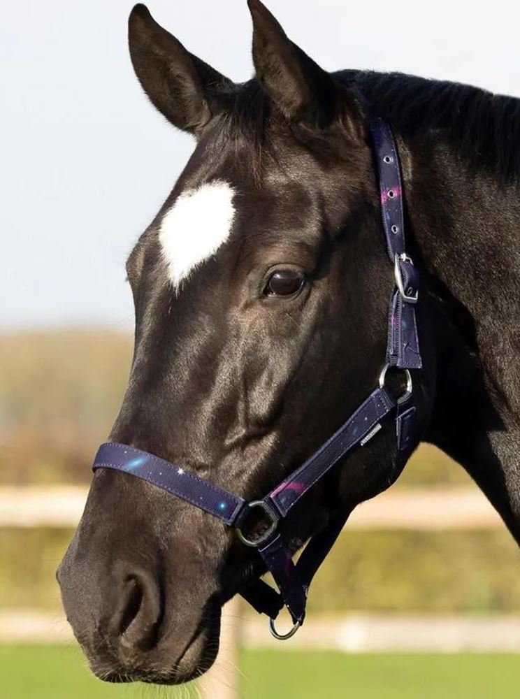 Hy Equestrian Out of this World Head Collar & Lead Rope