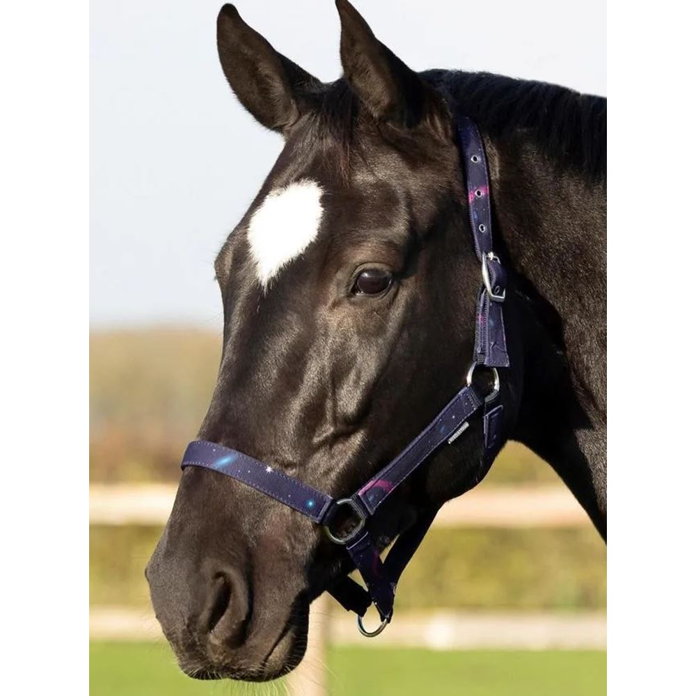 Hy Equestrian Out of this World Head Collar & Lead Rope