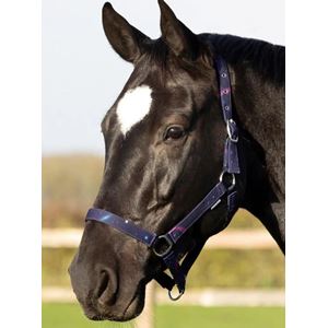 Hy Equestrian Out of this World Head Collar & Lead Rope