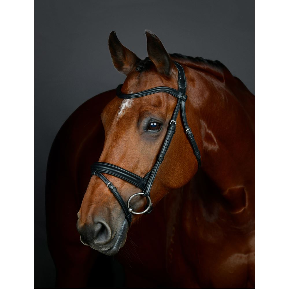 Weatherbeeta Collegiate Comfitec Opulux Plain Padded Hanoverian Flash Bridle