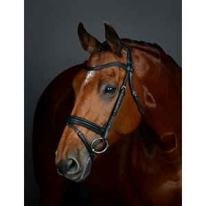 Weatherbeeta Collegiate Comfitec Opulux Plain Padded Hanoverian Flash Bridle