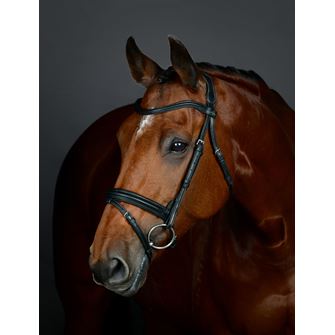 Weatherbeeta Collegiate Comfitec Opulux Plain Padded Hanoverian Flash Bridle