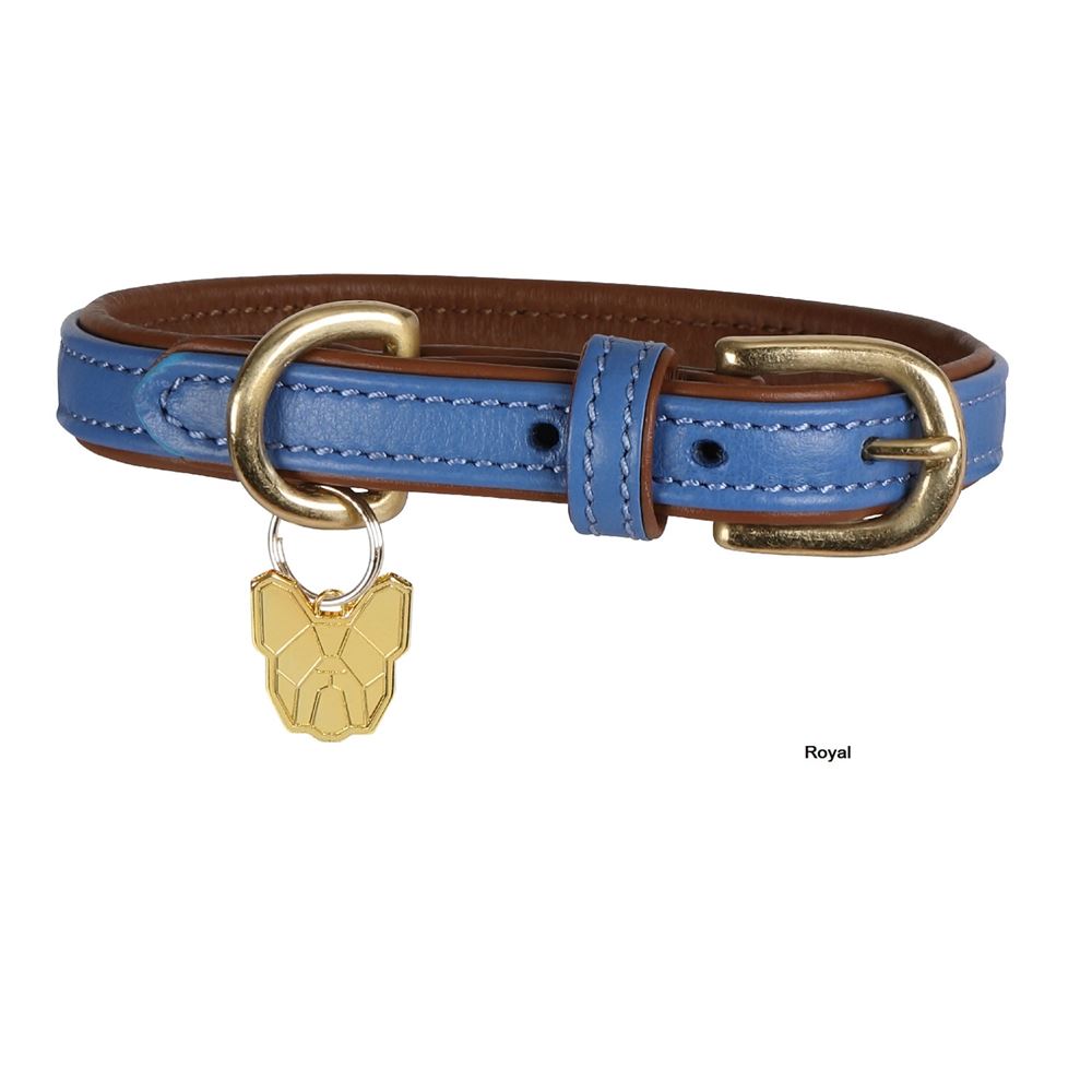 Shires Digby & Fox Padded Leather Dog Collar (XXXS - XXS)