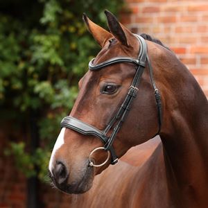 Shires Velociti LUSSO Opus 180M Dressage Cavesson Bridle (Black)