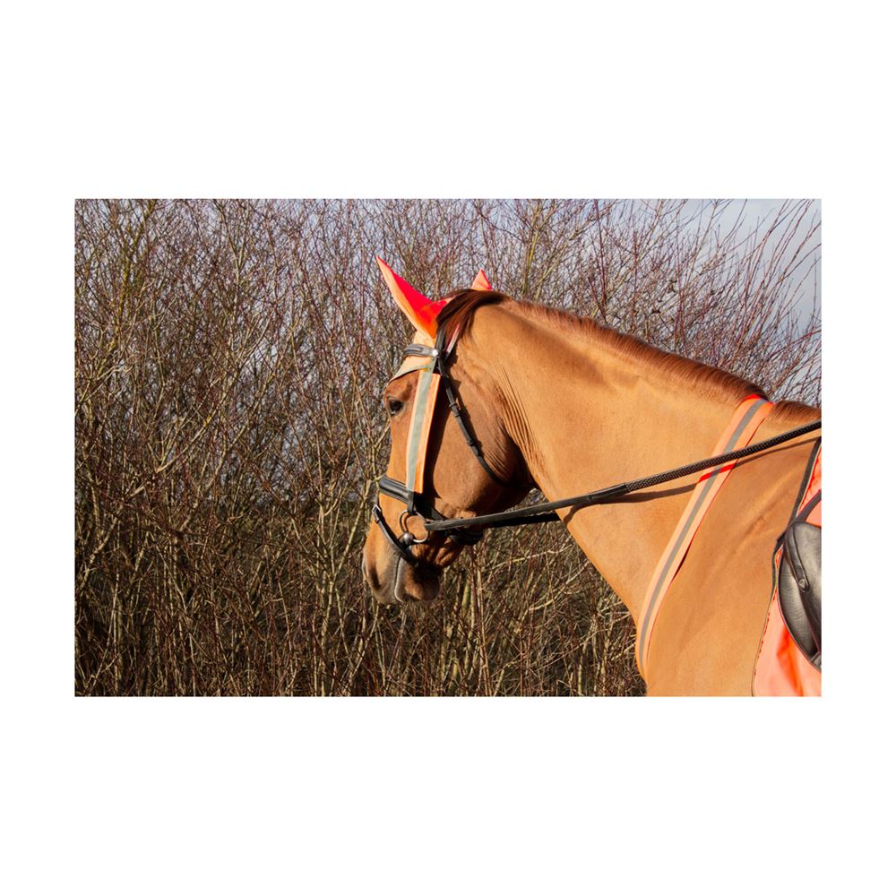 Hy Equestrian Reflector Martingale (Orange)