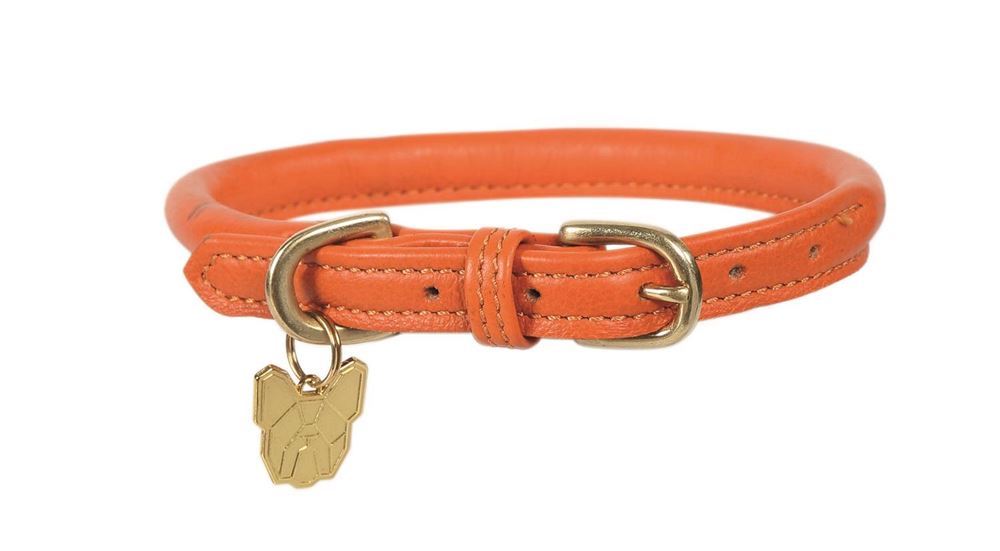 Shires Digby & Fox Rolled Leather Dog Collar, XL to XXL