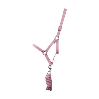 Hy Equestrian Synergy Head Collar (Grape/Silver)