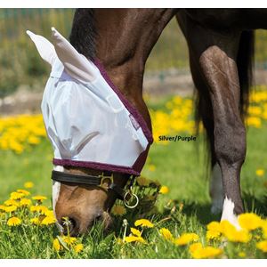 Amigo Fine Mesh Fly Mask with Ears