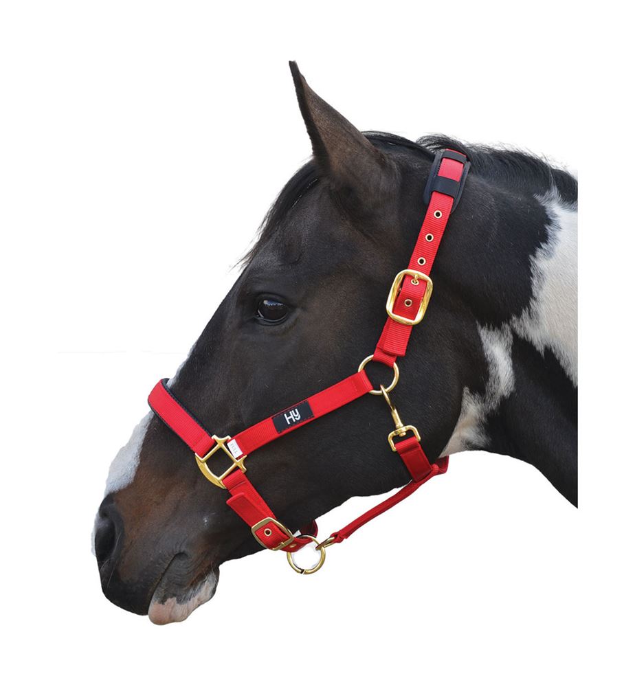 Hy Deluxe Padded Head Collar