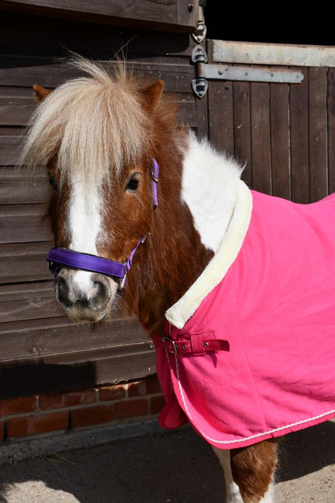 Rhinegold Unicorn Mini Embroidered Fleece Rug (Pink)