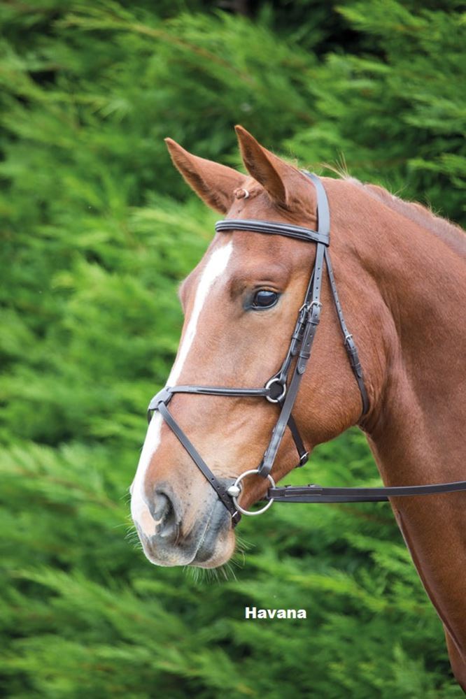 Shires Aviemore Mexican Bridle