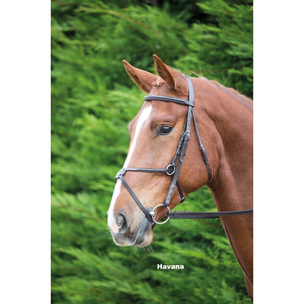 Shires Aviemore Mexican Bridle