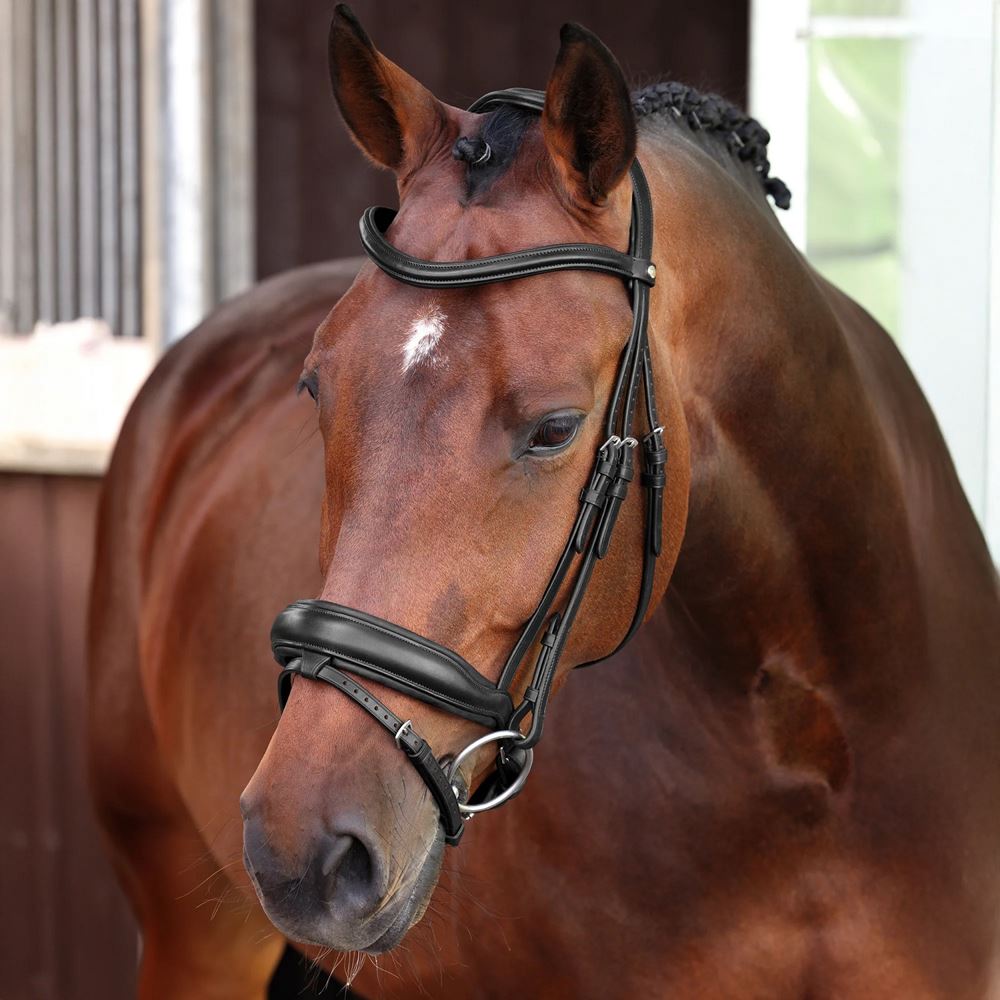 Shires Velociti LUSSO Elite Dressage Flash Bridle (Black)
