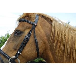 Windsor Leather Bridle With Flash Noseband