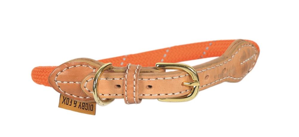 Shires Digby & Fox Reflective Dog Collar