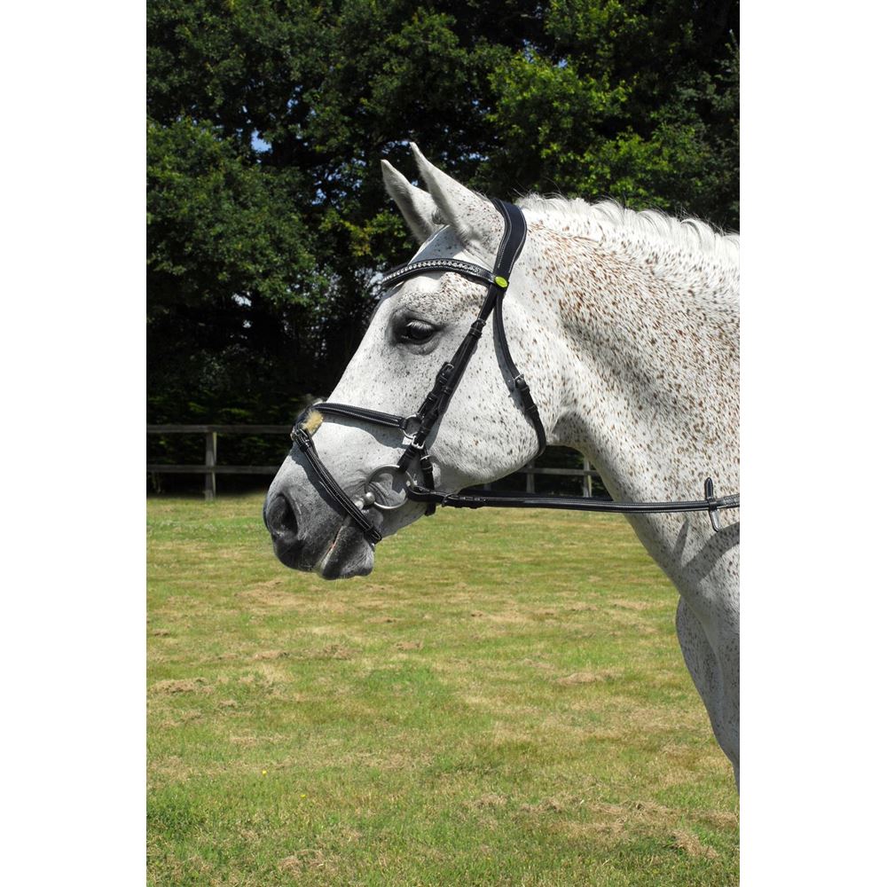 Rhinegold Italian Leather Anatomical Bridle With Mexican Noseband