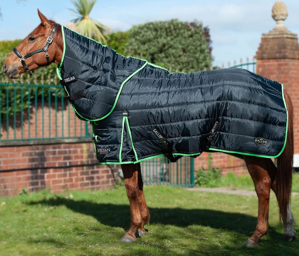 Gallop Trojan Dual 300 Stable Rug & Neck Set (Black/Green)