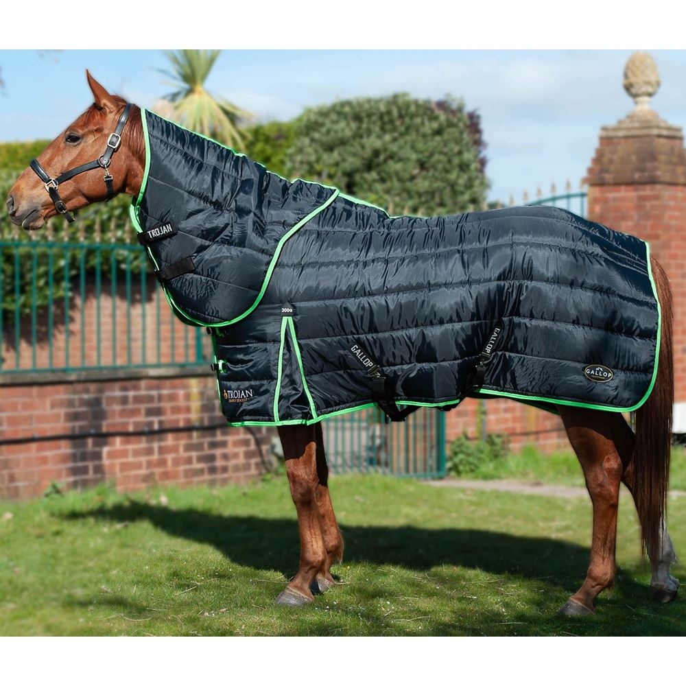 Gallop Trojan Dual 300 Stable Rug & Neck Set (Black/Green)
