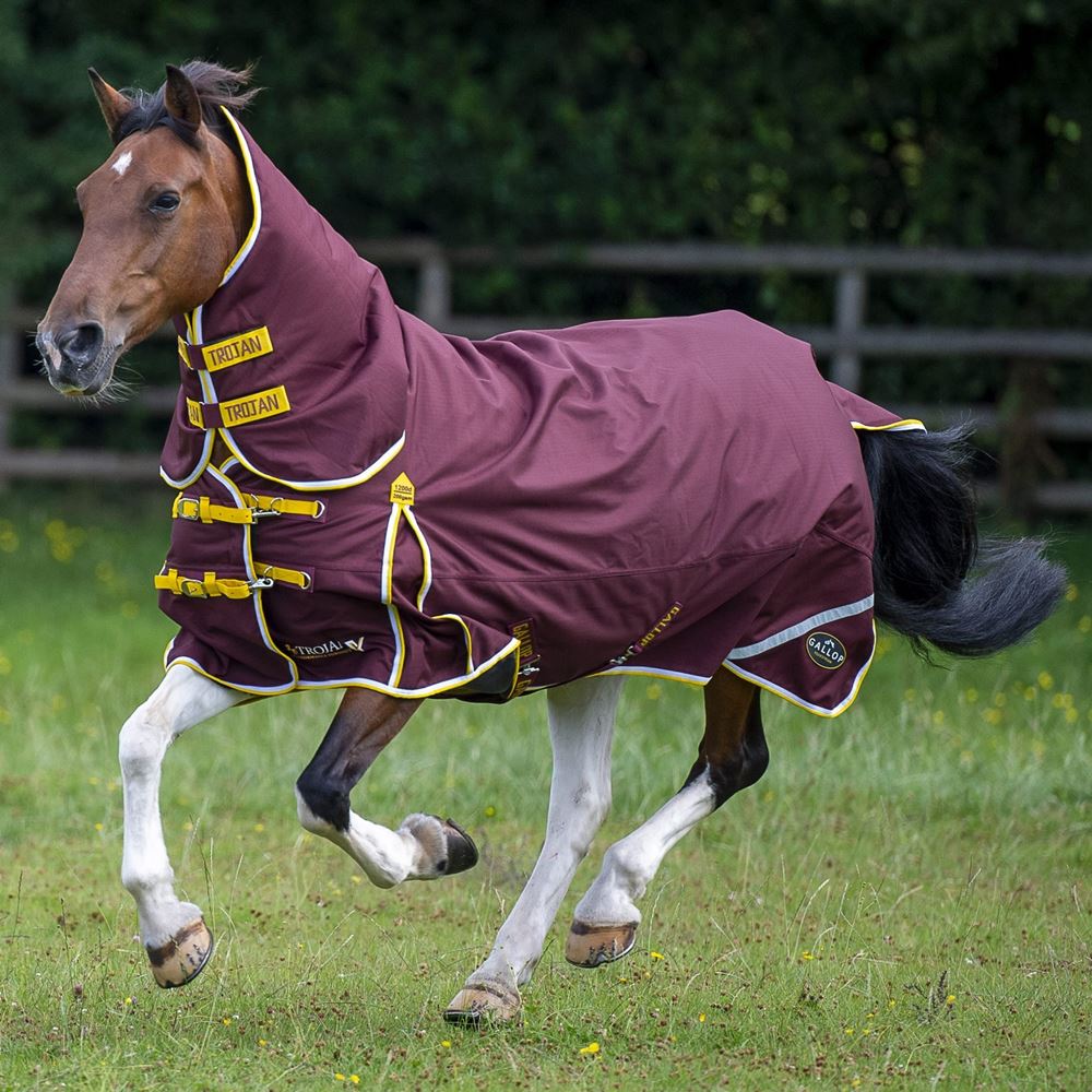 Gallop TROJAN Xtra Duraproof 200g Turnout Combo (Burgundy with Yellow/White bindings)