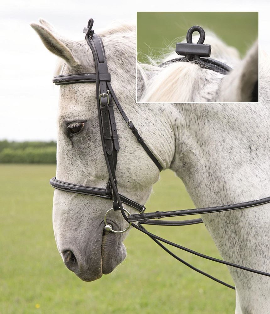 Shires Elastic Training Reins