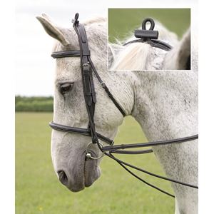 Shires Elastic Training Reins
