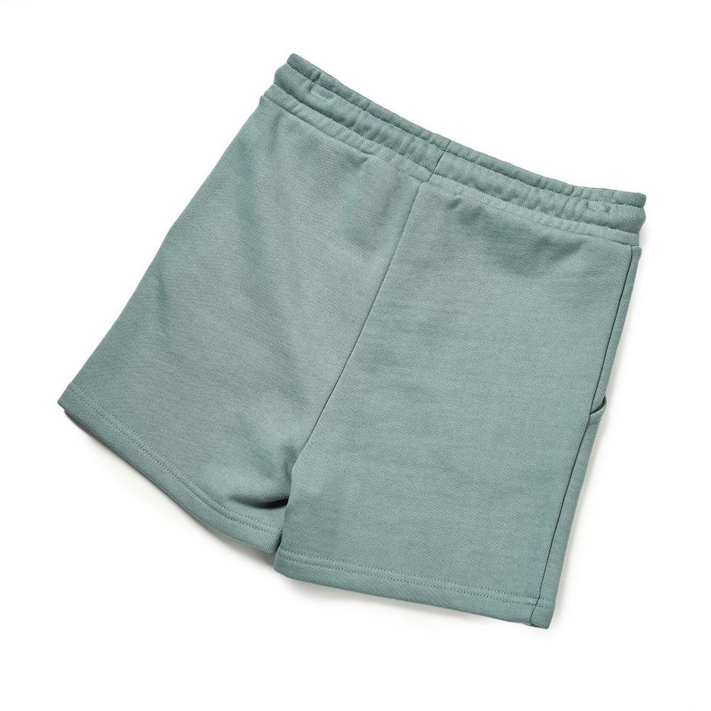 Shires Aubrion Team Sweat Shorts - Young Rider (Sage)