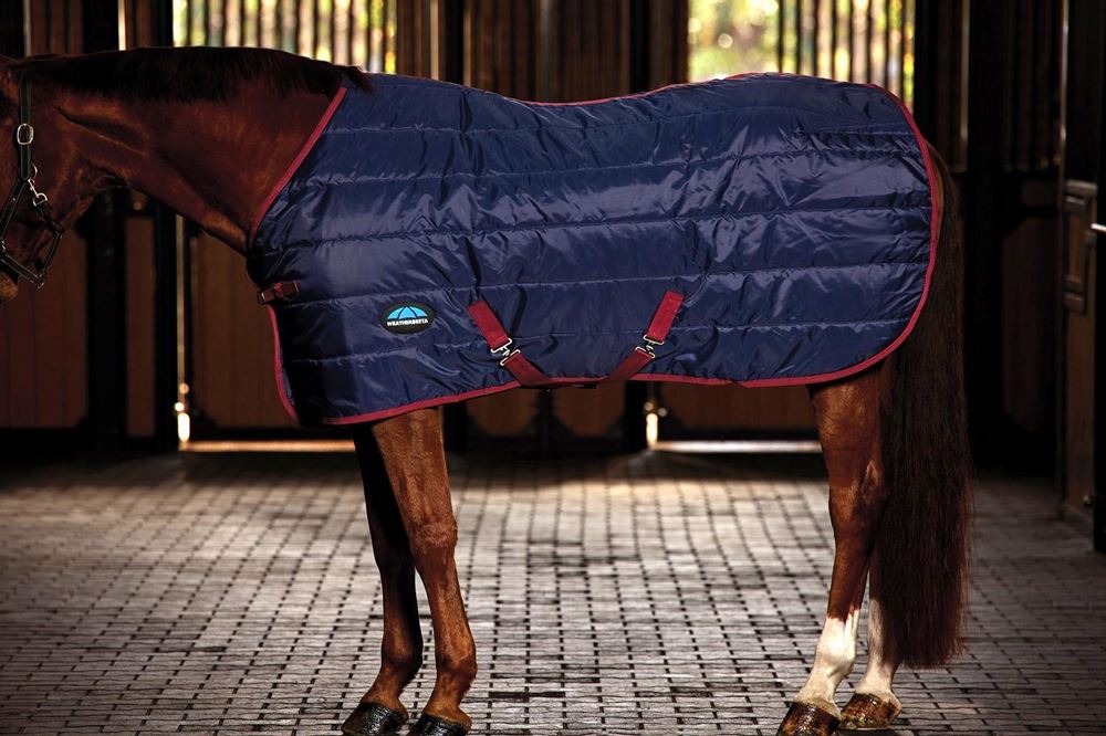 Weatherbeeta Comfitec 210D Channel Quilt Stable Standard - 100g (Navy/Burgundy)