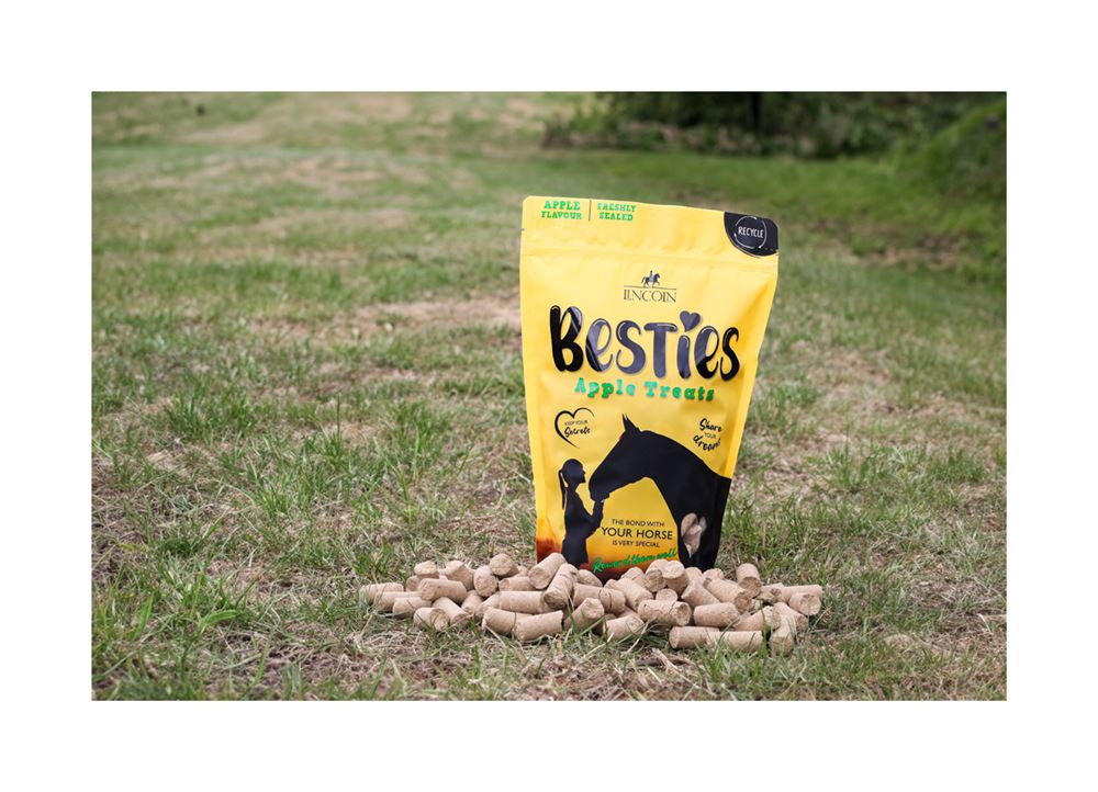 Hy Equestrian Lincoln Besties Treats (Apple)