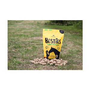 Hy Equestrian Lincoln Besties Treats (Apple)