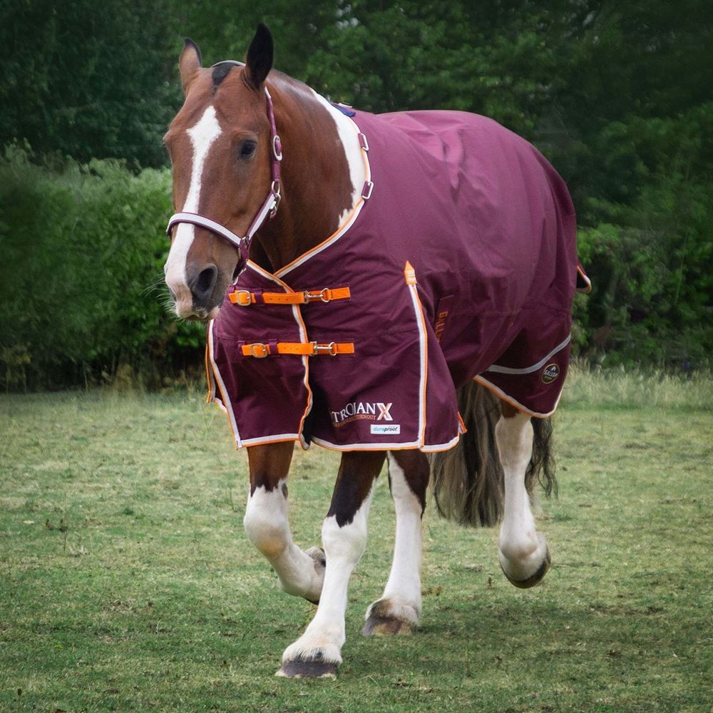 Gallop 1200D TROJAN Xtra 100g Duraproof 5-Point Turnout (Burgundy with Orange/White bindings)