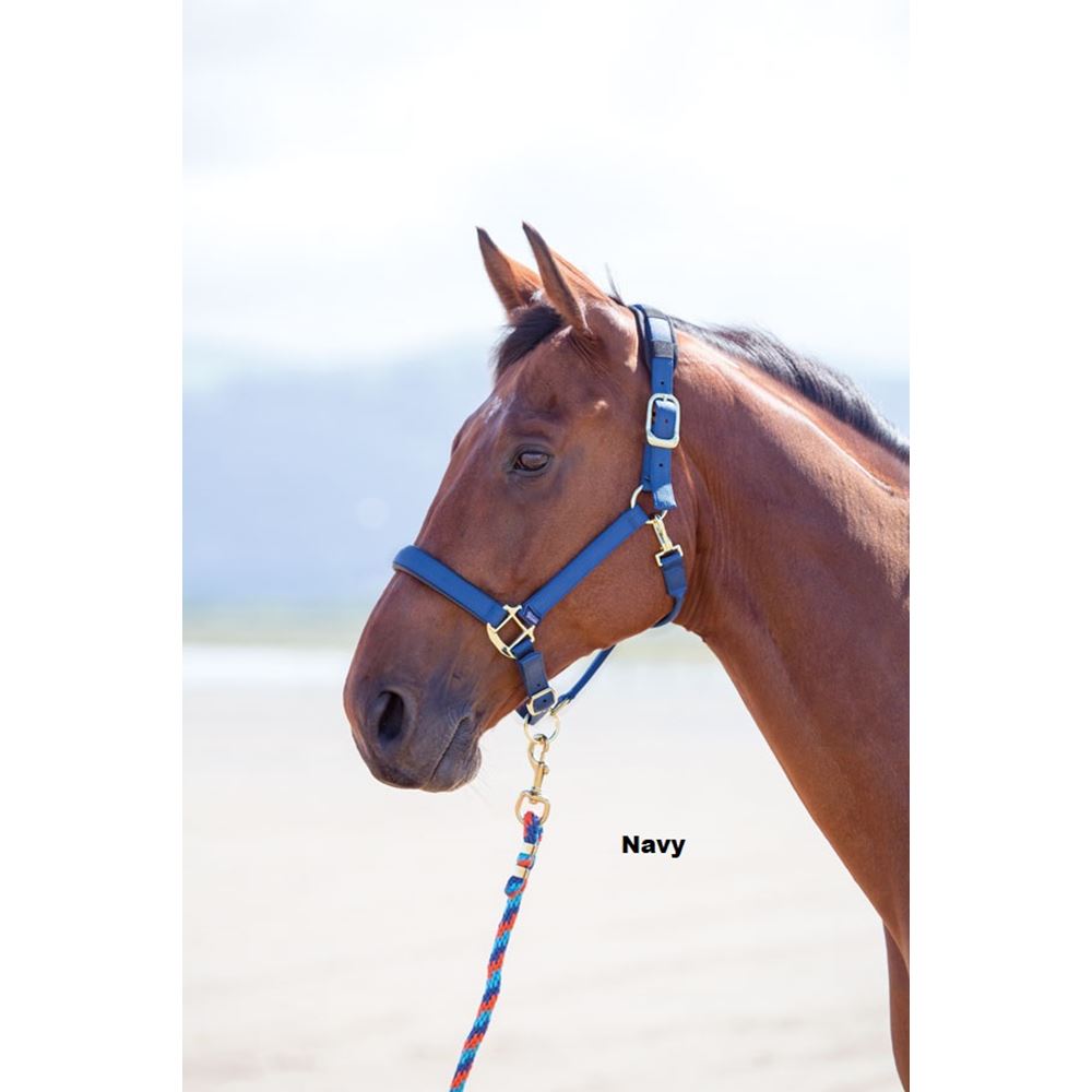 Shires Topaz Nylon Headcollar