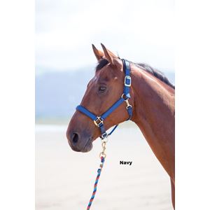 Shires Topaz Nylon Headcollar