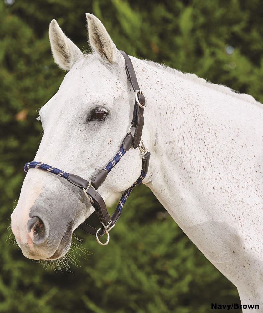 Kincade Leather Rope Headcollar
