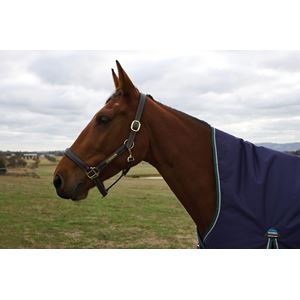 Weatherbeeta Comfitec Plus Dynamic Turnout High Neck - 100g (Navy/Forest Green)