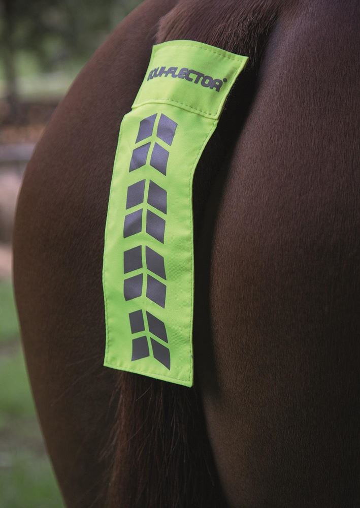 Shires EQUI-FLECTOR Tail Strap