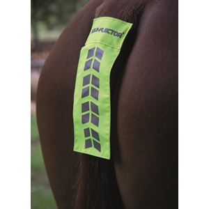 Shires EQUI-FLECTOR Tail Strap