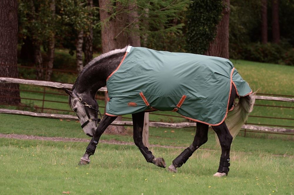 WeatherBeeta ComFiTec Tyro Standard Neck Medium Turnout Rug (Green/Burnt Orange/White)