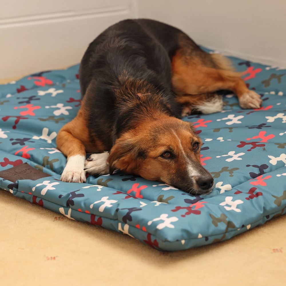 Shires Digby & Fox Waterproof Padded Dog Bed (95 x 105cm)