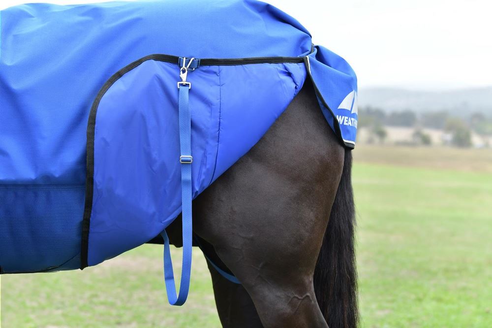 Weatherbeeta Comfitec Essential Turnout Combo - 220g (Cobalt/Black)