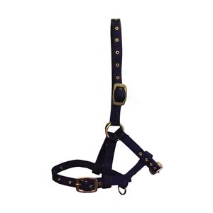 Hy Foal Head Collar