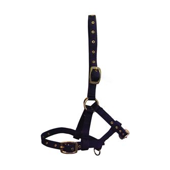 Hy Equestrian Foal Head Collar