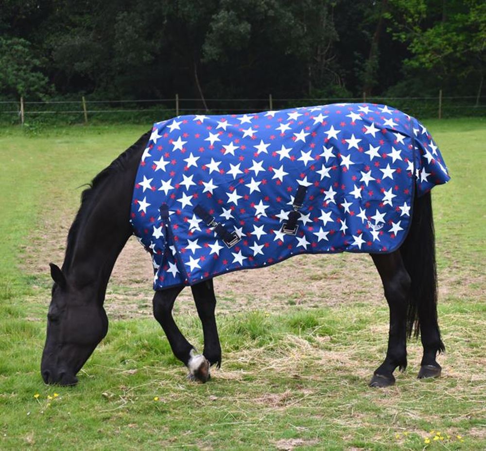 Rhinegold Star Design Torrent Outdoor Rug - 0g