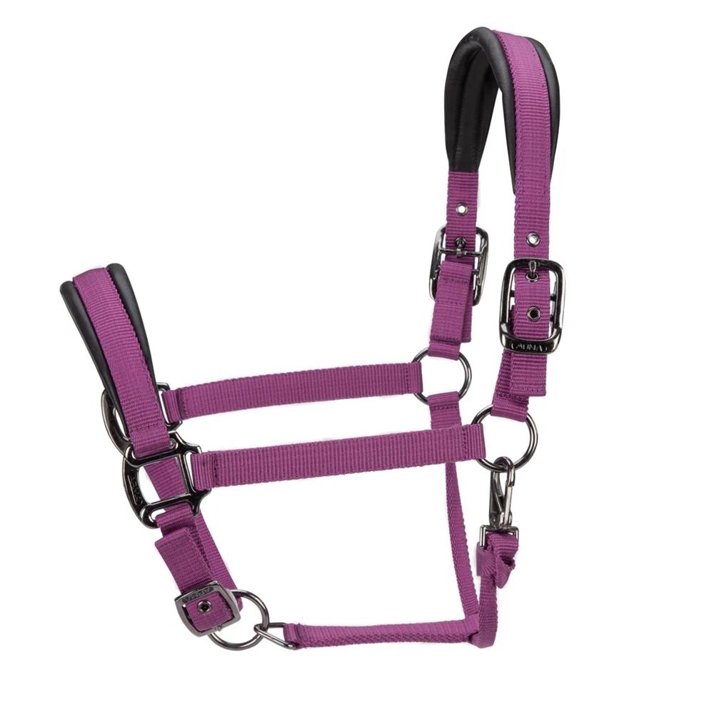 Shires ARMA Pro Padded Headcollar (Burgundy)