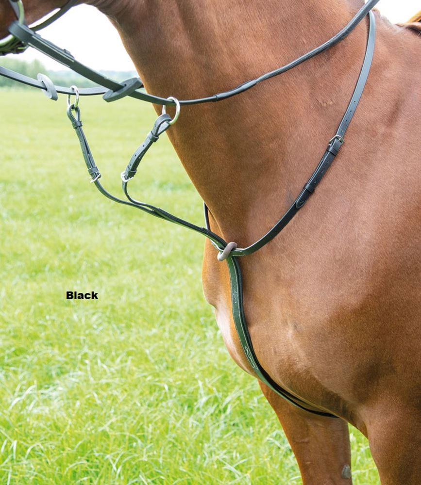 Shires Avignon Running Martingale