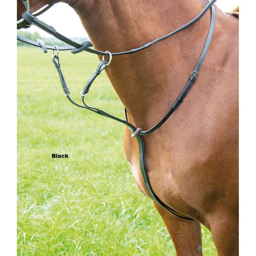Shires Avignon Running Martingale