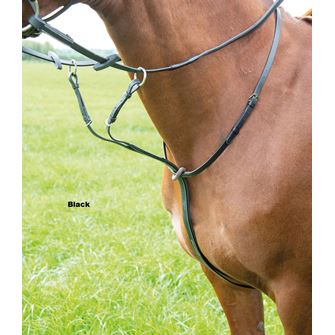 Shires Avignon Running Martingale