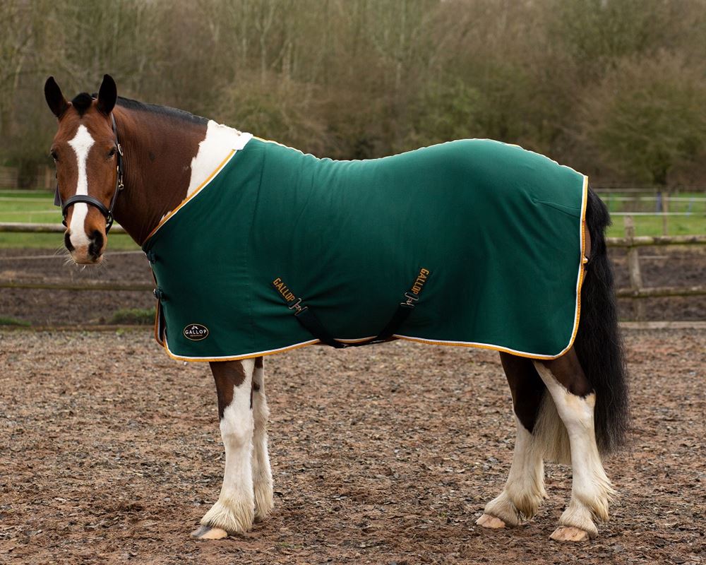 Gallop Jersey Cooler Rug (Green)