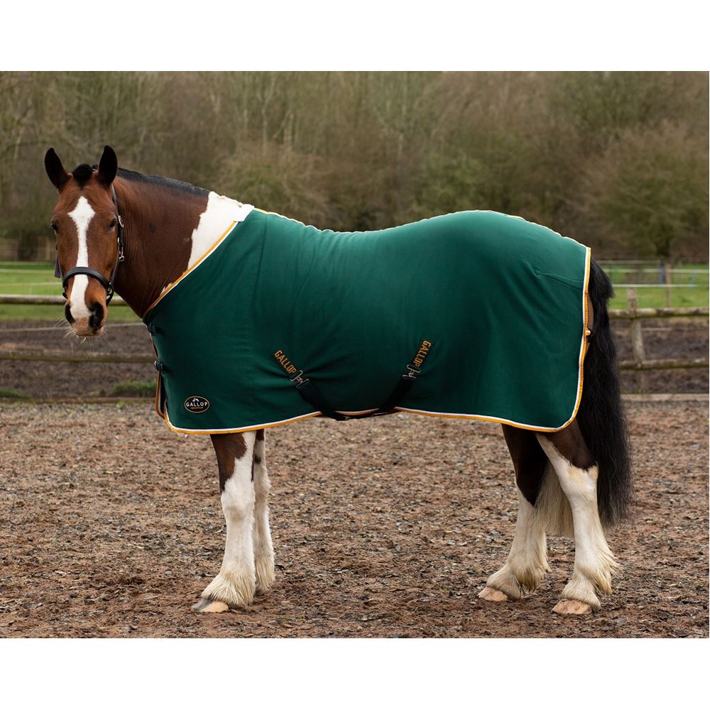 Gallop Jersey Cooler Rug (Green)