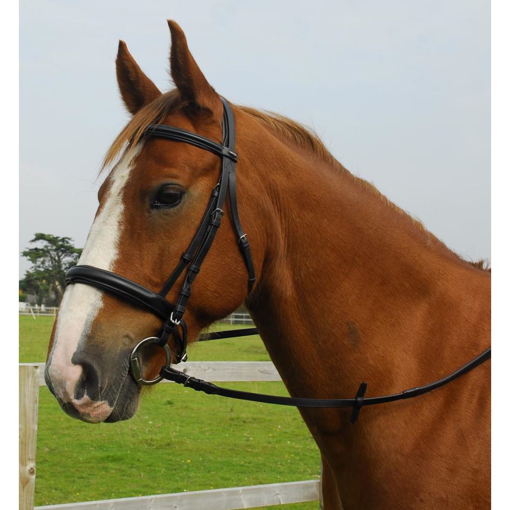Heritage Saddlery English Leather Comfort Bridle with Cavesson Noseband