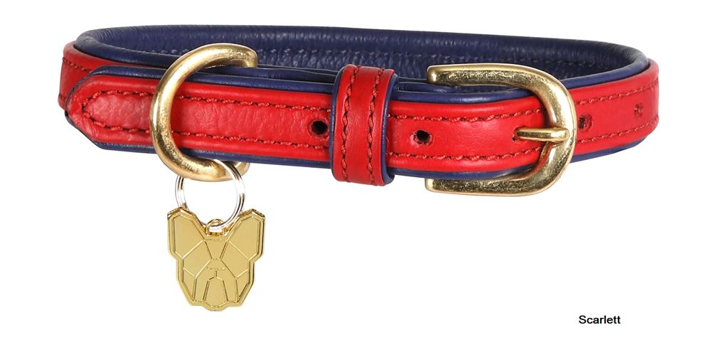 Shires Digby & Fox Padded Leather Dog Collar (XXXS - XXS)
